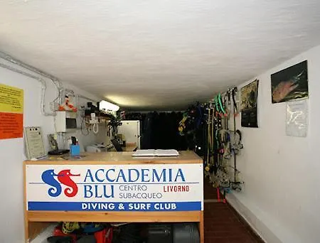 Apartment In Borgo - Holiday Group *